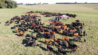 Grupo de produtores do Sindicato Rural de Laranjeiras do Sul realiza visitas técnicas em Guarapuava